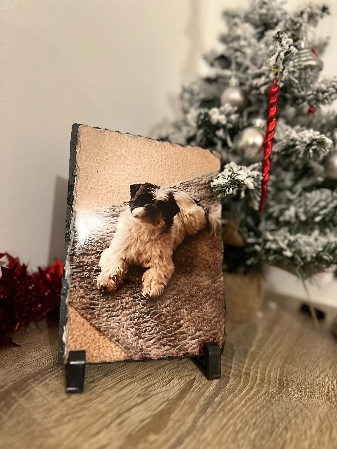 Photo sur Ardoise - Taille M - 15x20cm